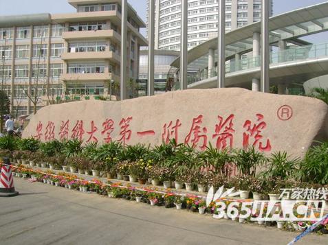 安徽医科大学第一附属医院